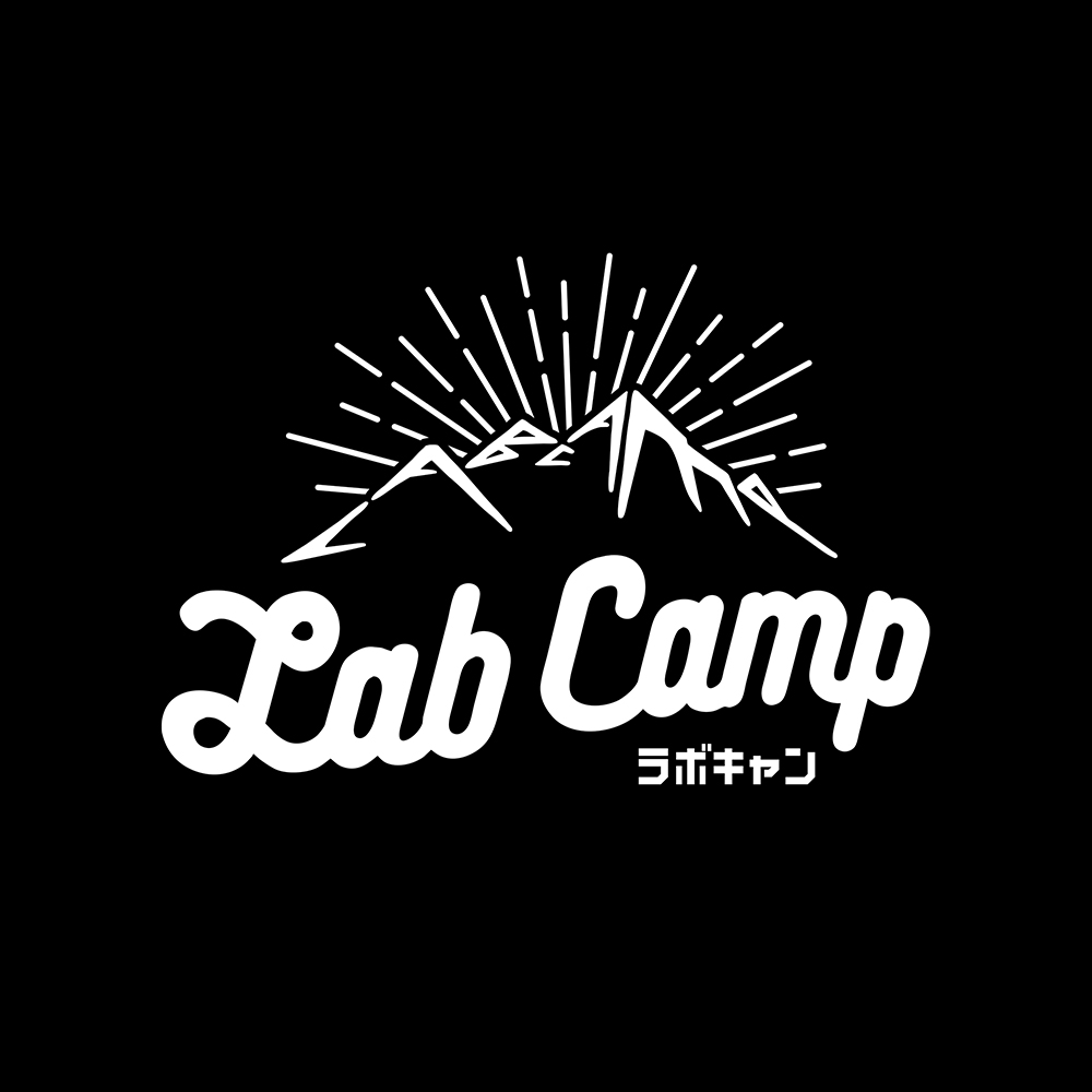 Lab Camp